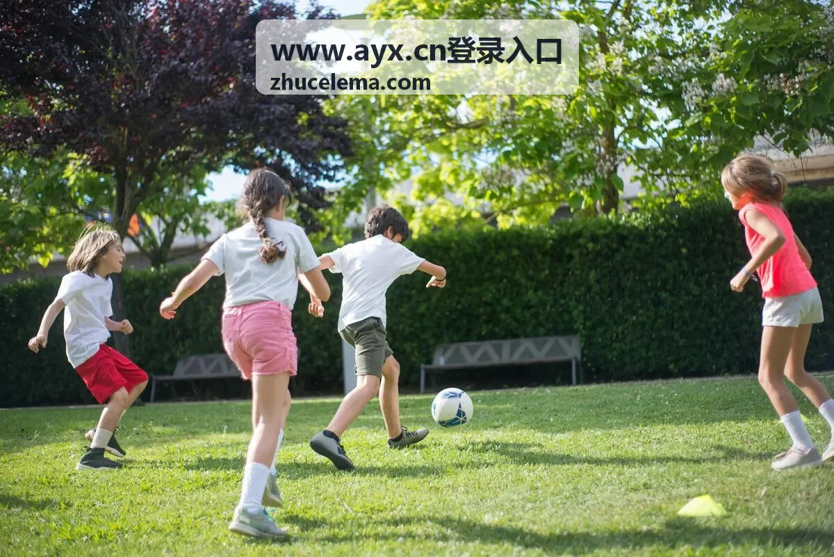 AYX 登录入口验证失败排查要点配图
